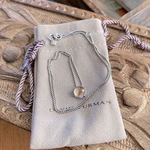 David Yurman Petite Chatelaine® Necklace in Sterling Silver Morganite 8mm